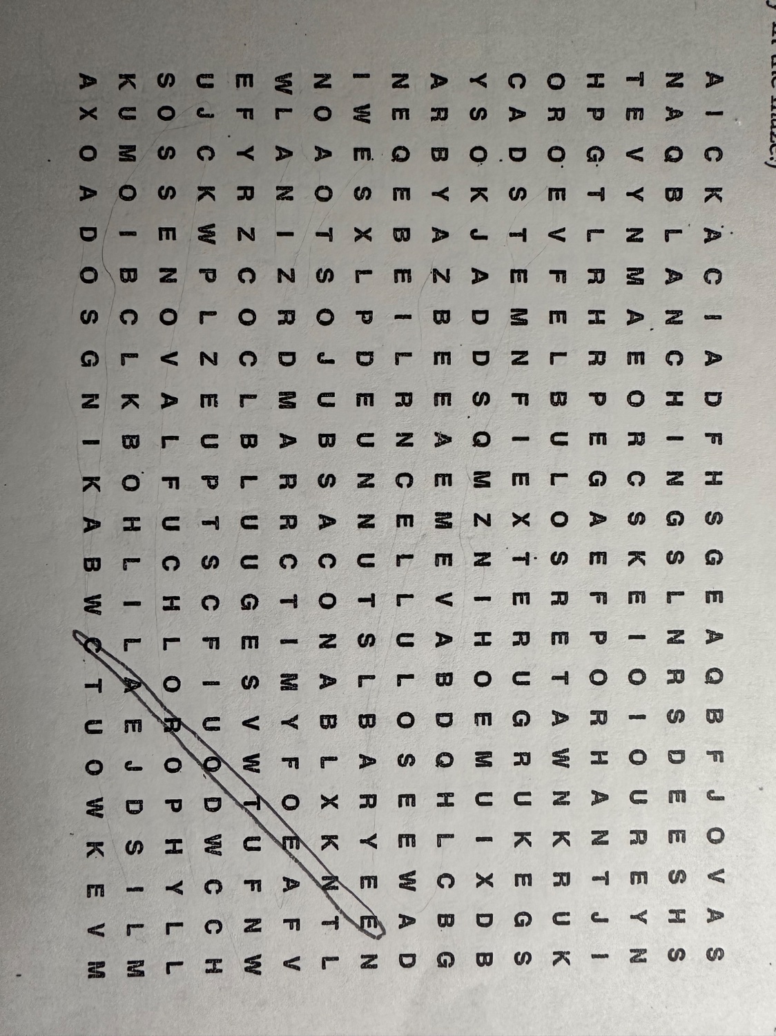 A word search puzzle photographed sideways